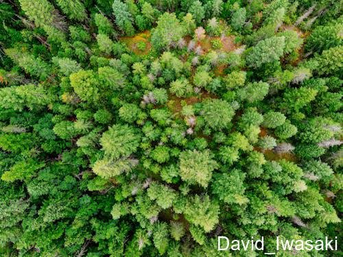 DavidluisI59723's profile picture. 