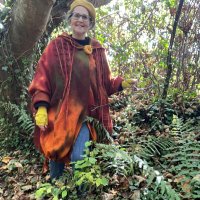 Barbara Shaw (@art_in_textiles) 's Twitter Profile