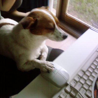 quiprotator's profile picture. Cultivating otherworldly wherewithal.