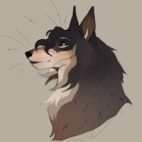 Canine teeth (@laniarii011) 's Twitter Profile Photo