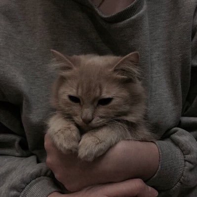 بكينا وندري انهم مايرجعون.