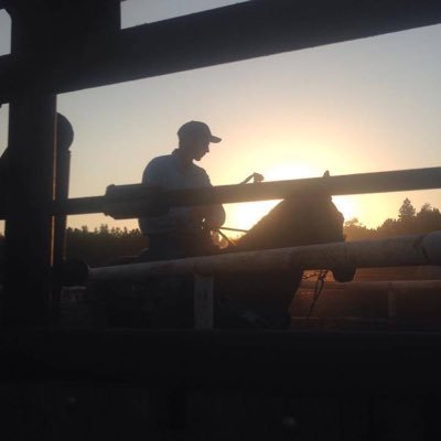 horsepaste's profile picture. 