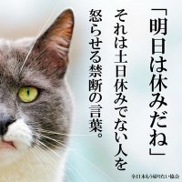 エミ@余裕がある大人になりたい。 (@1a1a1a0607ninin) 's Twitter Profile