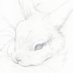 elika (@pwncssleeka) Twitter profile photo elika (@pwncssleeka) Twitter profile photo
