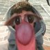 VTX Venxs01 (@venxs01) Twitter profile photo VTX Venxs01 (@venxs01) Twitter profile photo