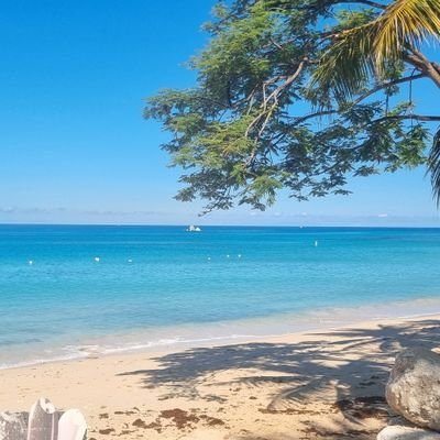 JanedoeTrini's profile picture. Brown Warrior Queen