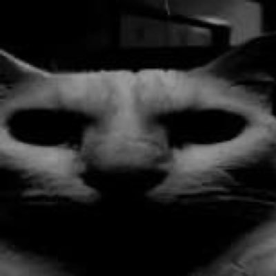 NF_Lead's profile picture. Violet