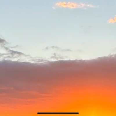 setupsnotcalls's profile picture. Trader looking to take down major scores