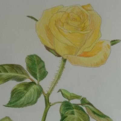 happyharu555's profile picture. 大好きなアーティストさんにいつも幸せや笑顔と元気をもらえてます🤗🤗💞
歌を聴くこと歌うことが好きです🎶
ありがとうございます😳👐😉
そして、皆さんの優しい言葉と綺麗な風景を見られて嬉しいです🍀🤗ありがとうございますヽ(^-^*)/