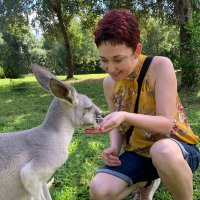 Tracy Wood (@tracy_wood100) 's Twitter Profile Photo Tracy Wood (@tracy_wood100) 's Twitter Profile Photo