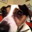 Chris Enos - @chris67enos - Twitter