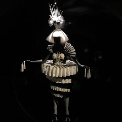 cosekant's profile picture. transitory thoughts
