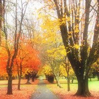 Friends of Betws (@frrindbetws) 's Twitter Profile Photo Friends of Betws (@frrindbetws) 's Twitter Profile Photo