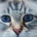 Chris Verdfer (@chrisverdfleur) Twitter profile photo Chris Verdfer (@chrisverdfleur) Twitter profile photo