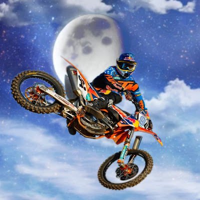 muddypaws1234's profile picture. 