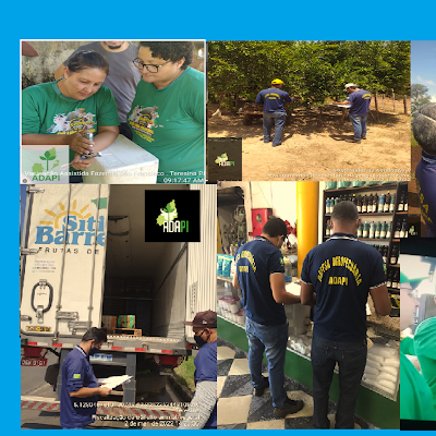 AdapiTeres79688's profile picture. 