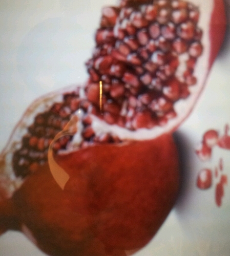 ab050511125's profile picture. 