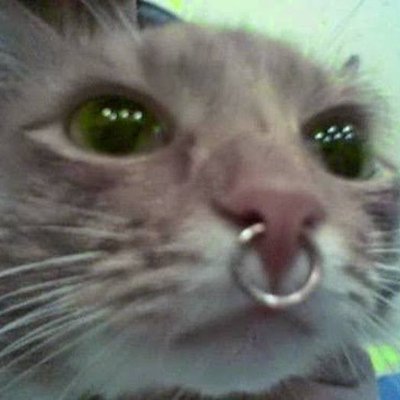 mth455's profile picture. Locutor ❤ Programação: Loucura Total