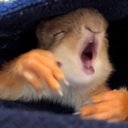 Ryan Edge - @RyanEdge08 - Twitter