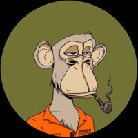 Jeremy (@jeremyvbtc) 's Twitter Profile