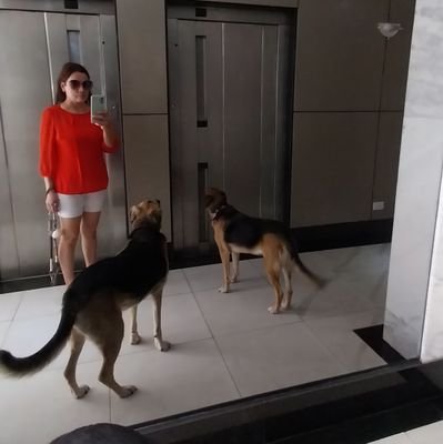 Protectora de mis 🐕🐕🐈. Emprendedora. Feliz viviendo la vida con mi top gun❤️ Journalist... Bloqueo a los tarados e inadaptados. Implacable con el octubrismo