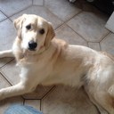 natalie rudd - @viola1994 - Twitter