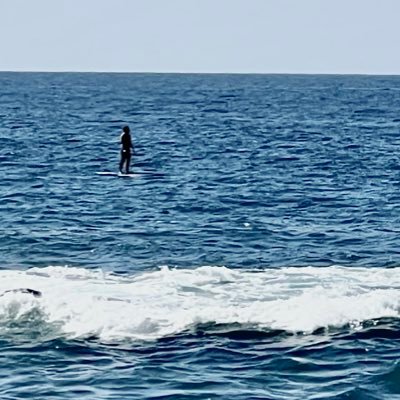 mikeylikey1111's profile picture. finding hidden gems amongst the noise