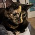 babka (@babiebabka) Twitter profile photo babka (@babiebabka) Twitter profile photo