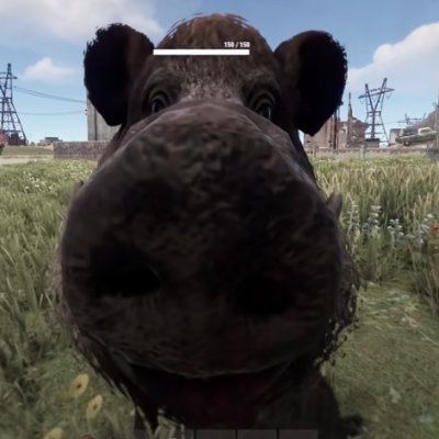 kerfunklefps's profile picture. University Utah Red @UUtah_Esports
IGN: kerfunkle#2425
YT: kerfunklefps
19 y/o