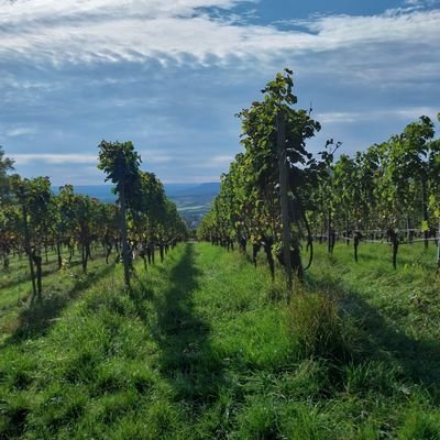 Anne3371861466's profile picture. 