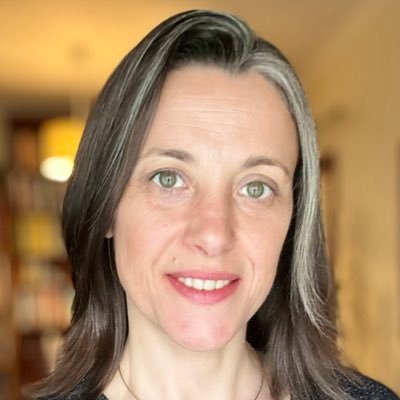 Director of the Institute of Bioethics, Universidade Católica Portuguesa; (UCP)  Ethics Experts European Commission; President of Health Ethics Committee UCP