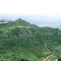 Sameer zaed (@sameer_zaed) 's Twitter Profile