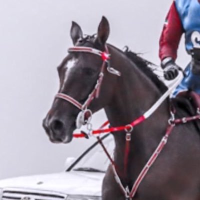 Ddalooshe's profile picture. Dalal Almazyad  Instagram: dloo0oshe