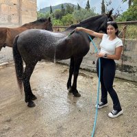 Pascarelli Esta (@pascarelli62773) 's Twitter Profile