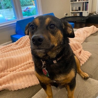 Cimsha's profile picture. 