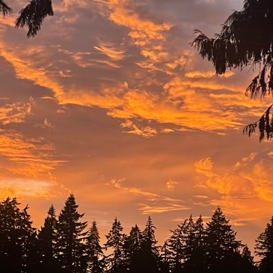 gardenrunner74's profile picture. 