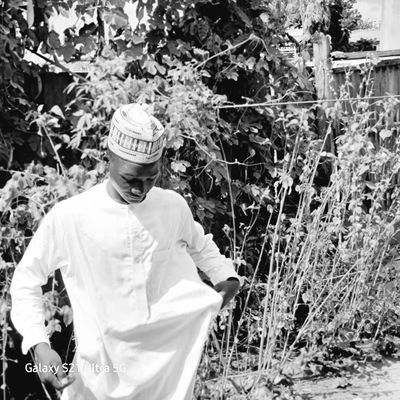 misah7004's profile picture. Zamastetsf