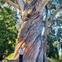 Gareth Squire (@gazsquire) 's Twitter Profile