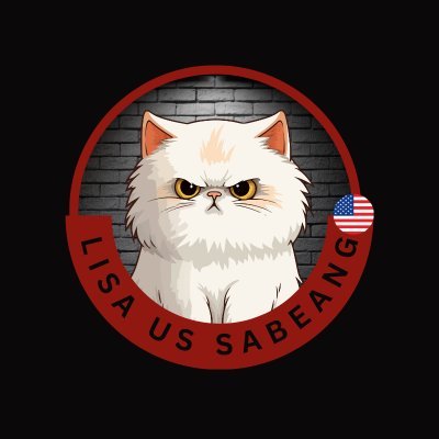 US Support Supplies for LISA US STREAM TEAM