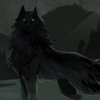 d.notive (@dnotive) 's Twitter Profile