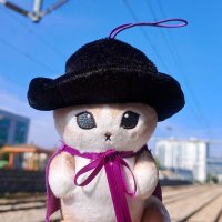 iamsocuri (@iamsocuri) 's Twitter Profile Photo