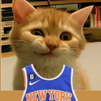 tonberrysknife's profile picture. $SIRIUS $PEPE $NEIRO