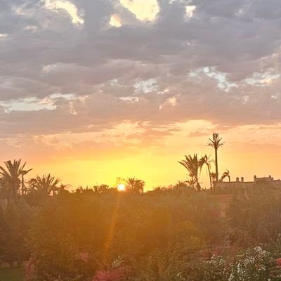 RaTwitmar2024's profile picture. 