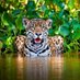Balam Protecciรณn Ambiente (@balamambiente) Twitter profile photo Balam Protecciรณn Ambiente (@balamambiente) Twitter profile photo