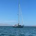 bitcoinSailing (@btcsailing) Twitter profile photo bitcoinSailing (@btcsailing) Twitter profile photo