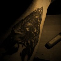 x.x (@_luispipe) 's Twitter Profile Photo