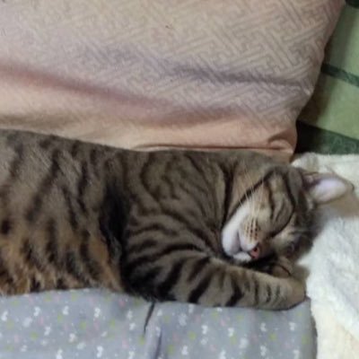 mimu2525's profile picture. 🧡🩵源さんSuki ⭐️⭐️              ✖️香り柔軟剤ダメ