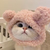 Ph-Balance (@a2gtmb) 's Twitter Profile