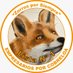 Zorros Por Siempre (@zorrosxsiempre1) Twitter profile photo Zorros Por Siempre (@zorrosxsiempre1) Twitter profile photo