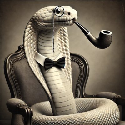 JerpentSerpent's profile picture. e/acc, geopolitics, exponential tech, crypto, philosophy, classics, history 📚🚀 
Western Civilization enthusiast   🇺🇸🪖كافر